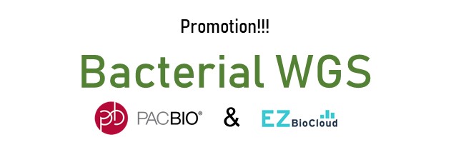 PacBio Bacterial WGS – 15% OFF